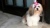 Отель Anna